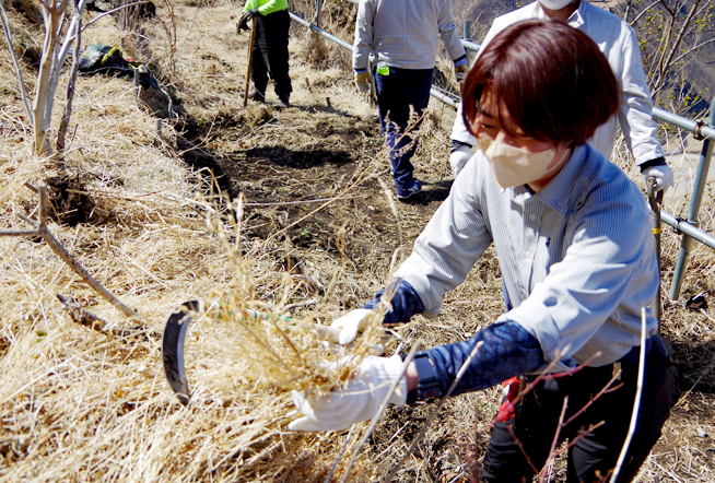 【中村土建】日光市足尾町にて植樹前の環境整備